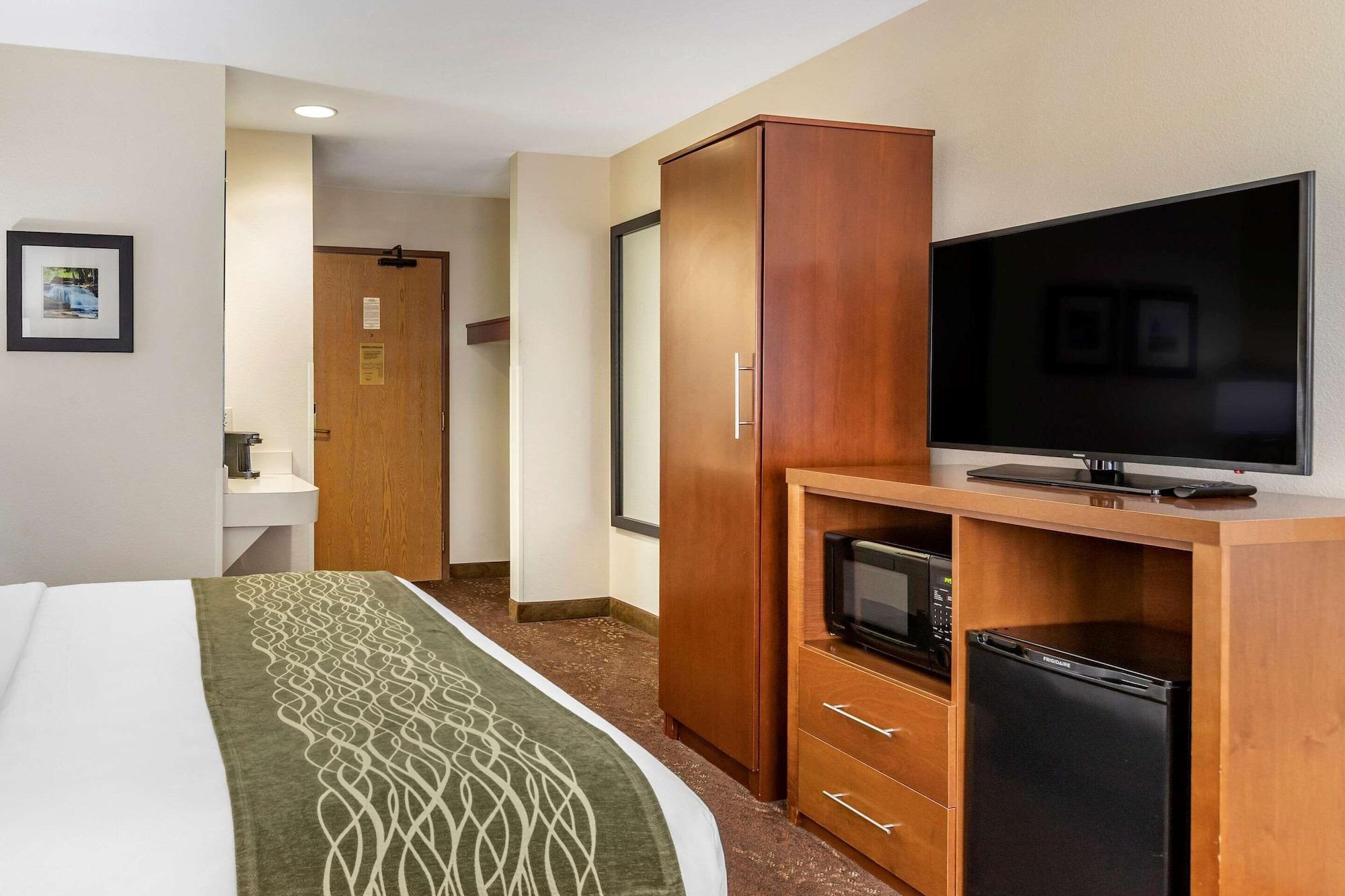 Comfort Inn Okemos - East Lansing מראה חיצוני תמונה