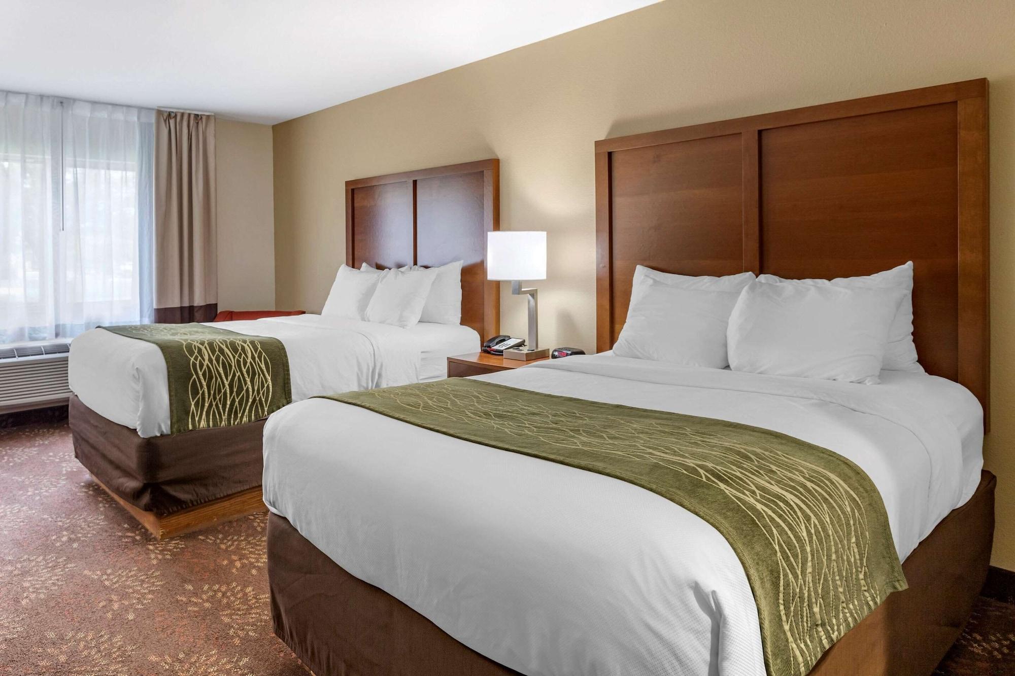 Comfort Inn Okemos - East Lansing מראה חיצוני תמונה