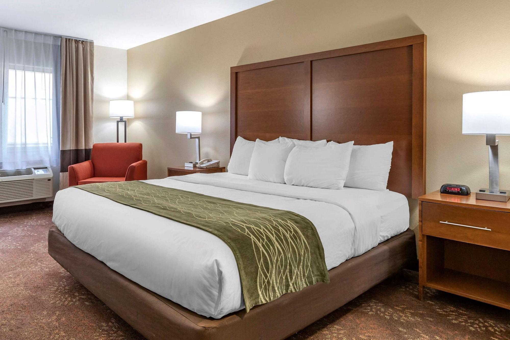 Comfort Inn Okemos - East Lansing מראה חיצוני תמונה