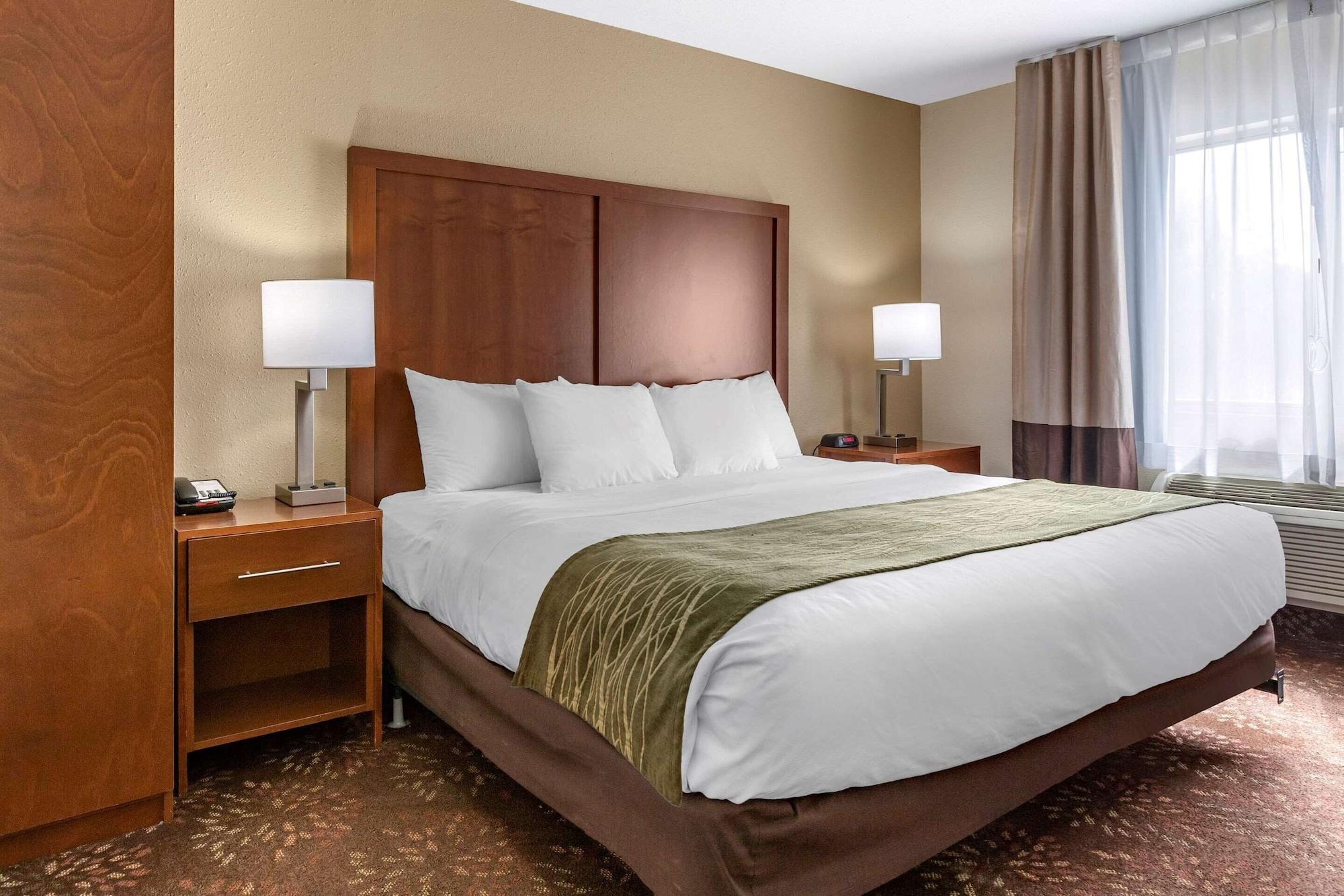 Comfort Inn Okemos - East Lansing מראה חיצוני תמונה