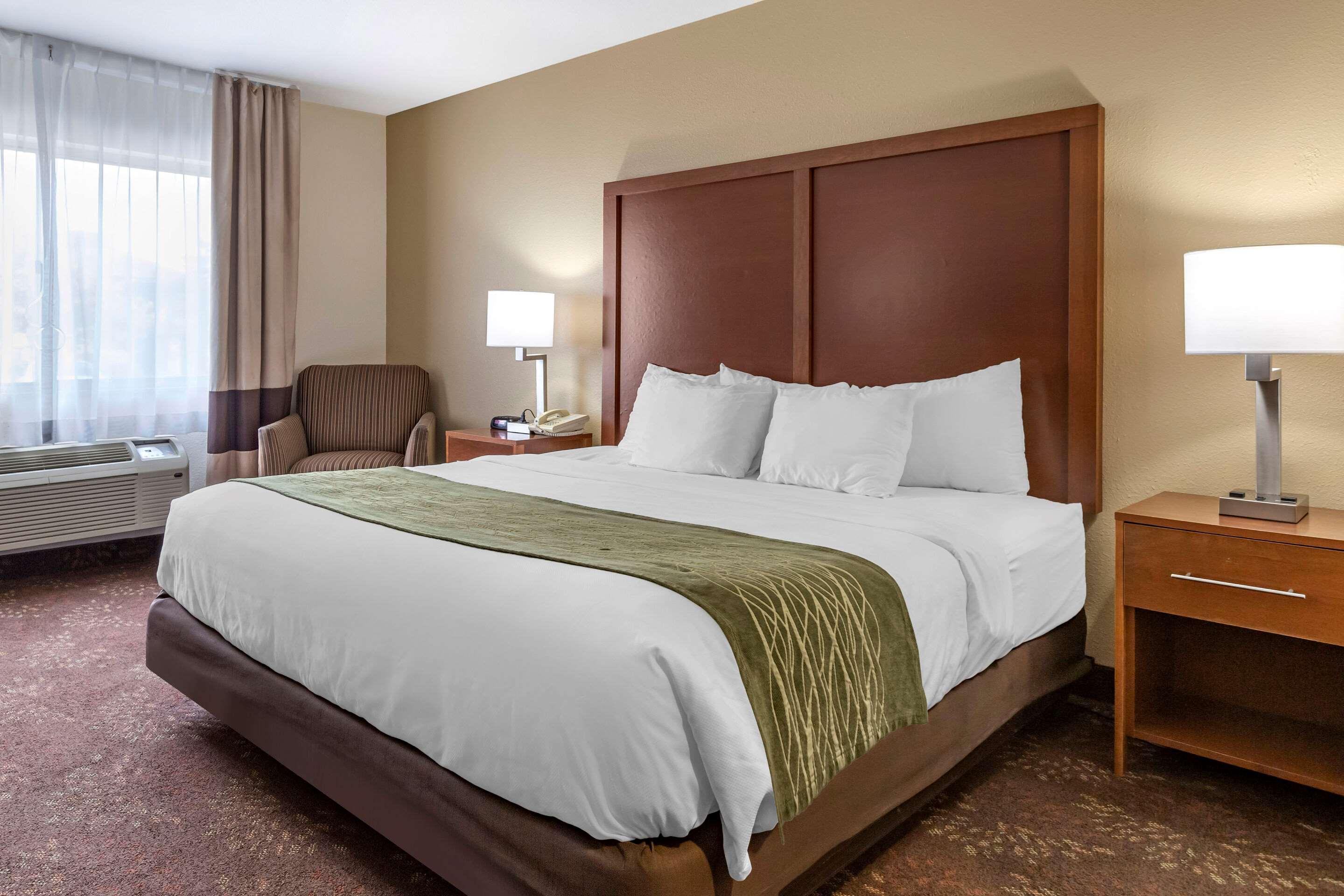 Comfort Inn Okemos - East Lansing מראה חיצוני תמונה