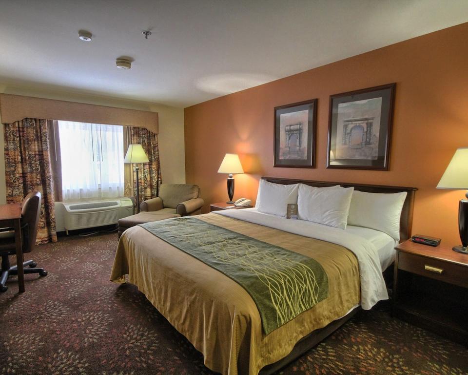 Comfort Inn Okemos - East Lansing מראה חיצוני תמונה